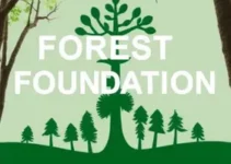 Concurso Fundação Florestal SP