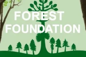 Concurso Fundação Florestal SP
