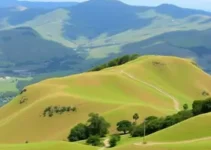 Concurso Lindóia do Sul SC
