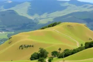 Concurso Lindóia do Sul SC