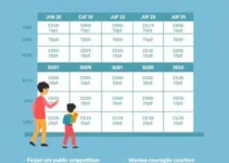 programação aulas concurso público
