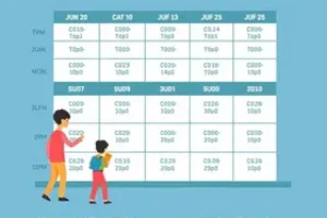 programação aulas concurso público