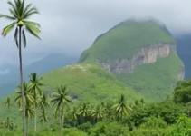 Concurso Palmeira dos Índios AL
