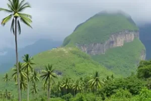 Concurso Palmeira dos Índios AL