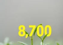 edital seed pr temporários