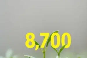 edital seed pr temporários