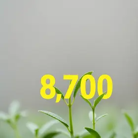 edital seed pr temporários
