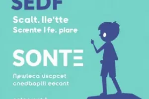 Concurso SEDF